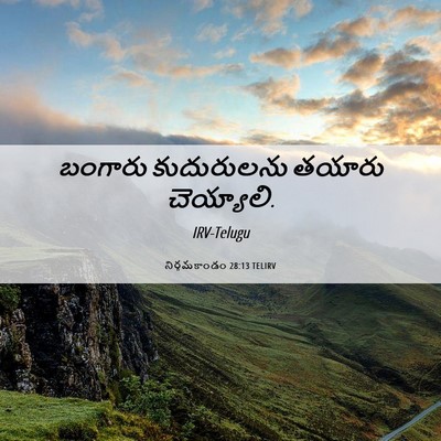 Picture 06 - నిర్గమకాండం 28:13 TELIRV - బంగారు కుదురులను - Bible Verse Picture