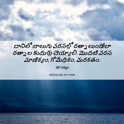 Picture 06 - నిర్గమకాండం 28:17 TELIRV - దానిలో నాలుగు - Bible Verse Picture