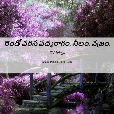 Picture 06 - నిర్గమకాండం 28:18 TELIRV - రెండో వరస - Bible Verse Picture