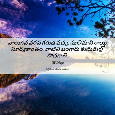 Picture 06 - నిర్గమకాండం 28:20 TELIRV - నాలుగవ వరస గరుడ - Bible Verse Picture