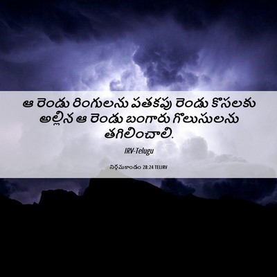 Picture 06 - నిర్గమకాండం 28:24 TELIRV - ఆ రెండు రింగులను - Bible Verse Picture