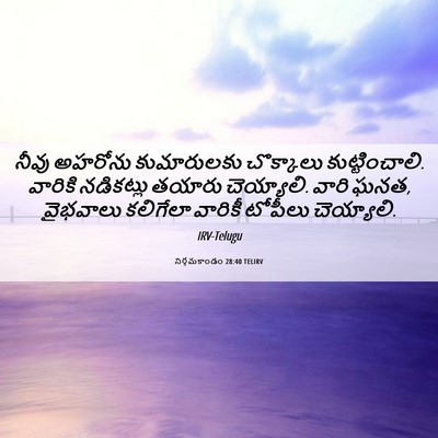 Picture 06 - నిర్గమకాండం 28:40 TELIRV - నీవు అహరోను - Bible Verse Picture
