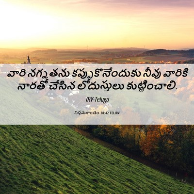 Picture 06 - నిర్గమకాండం 28:42 TELIRV - వారి నగ్నతను - Bible Verse Picture