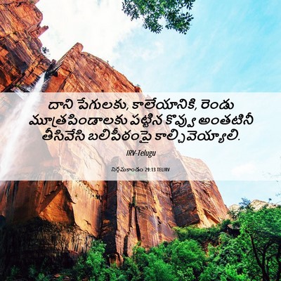 Picture 06 - నిర్గమకాండం 29:13 TELIRV - దాని పేగులకు, - Bible Verse Picture
