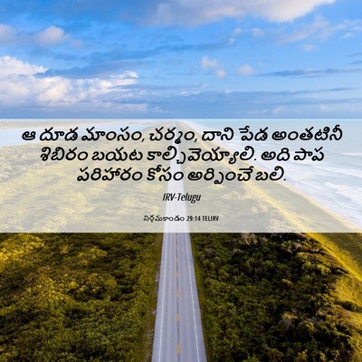 Picture 06 - నిర్గమకాండం 29:14 TELIRV - ఆ దూడ మాంసం, చర్మం, - Bible Verse Picture