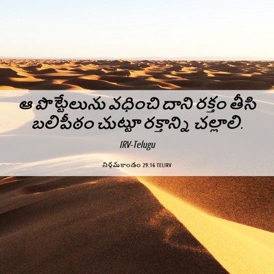 Picture 06 - నిర్గమకాండం 29:16 TELIRV - ఆ పొట్టేలును - Bible Verse Picture
