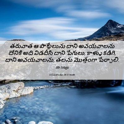 Picture 06 - నిర్గమకాండం 29:17 TELIRV - తరువాత ఆ - Bible Verse Picture