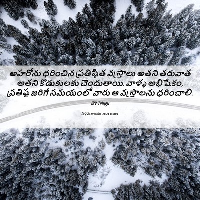 Picture 06 - నిర్గమకాండం 29:29 TELIRV - అహరోను ధరించిన - Bible Verse Picture