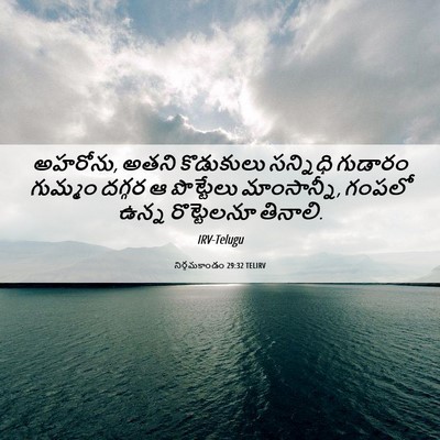 Picture 06 - నిర్గమకాండం 29:32 TELIRV - అహరోను, అతని - Bible Verse Picture