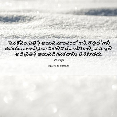 Picture 06 - నిర్గమకాండం 29:34 TELIRV - సేవ కోసం - Bible Verse Picture