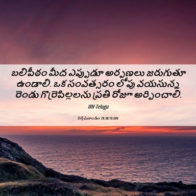Picture 06 - నిర్గమకాండం 29:38 TELIRV - బలిపీఠం మీద - Bible Verse Picture