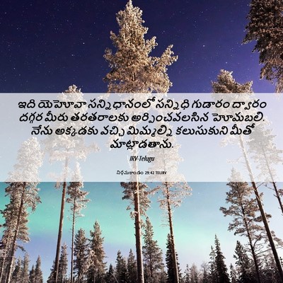 Picture 06 - నిర్గమకాండం 29:42 TELIRV - ఇది యెహోవా - Bible Verse Picture