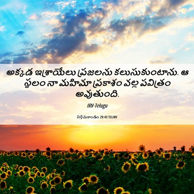 Picture 06 - నిర్గమకాండం 29:43 TELIRV - అక్కడ ఇశ్రాయేలు - Bible Verse Picture