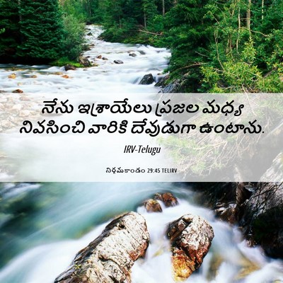 Picture 06 - నిర్గమకాండం 29:45 TELIRV - నేను ఇశ్రాయేలు - Bible Verse Picture
