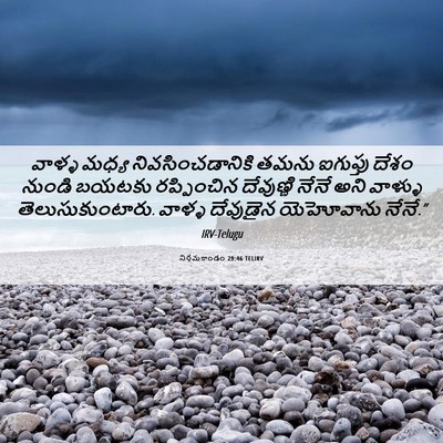 Picture 06 - నిర్గమకాండం 29:46 TELIRV - వాళ్ళ మధ్య - Bible Verse Picture
