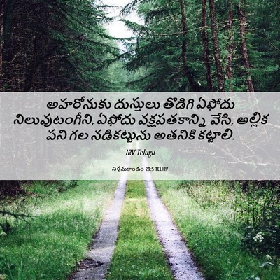 Picture 06 - నిర్గమకాండం 29:5 TELIRV - అహరోనుకు దుస్తులు - Bible Verse Picture