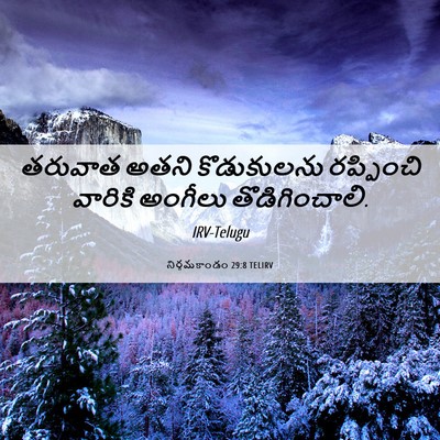 Picture 06 - నిర్గమకాండం 29:8 TELIRV - తరువాత అతని - Bible Verse Picture
