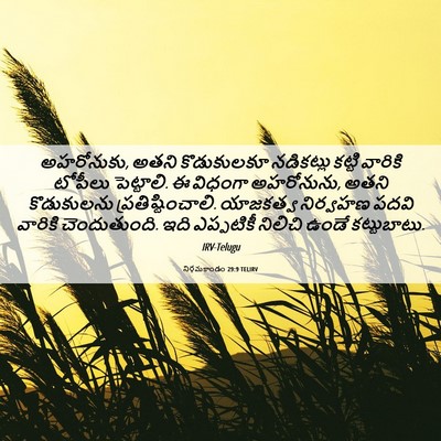 Picture 06 - నిర్గమకాండం 29:9 TELIRV - అహరోనుకు, అతని - Bible Verse Picture