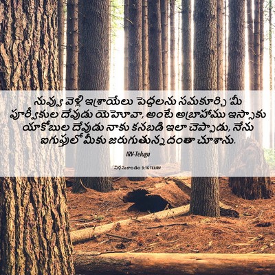 Picture 06 - నిర్గమకాండం 3:16 TELIRV - నువ్వు వెళ్లి - Bible Verse Picture