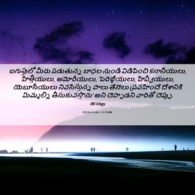 Picture 06 - నిర్గమకాండం 3:17 TELIRV - ఐగుప్తులో మీరు - Bible Verse Picture