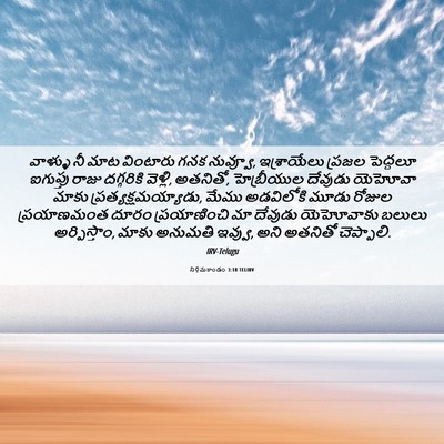 Picture 06 - నిర్గమకాండం 3:18 TELIRV - వాళ్ళు నీ మాట - Bible Verse Picture