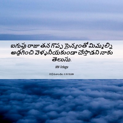 Picture 06 - నిర్గమకాండం 3:19 TELIRV - ఐగుప్తు రాజు తన - Bible Verse Picture