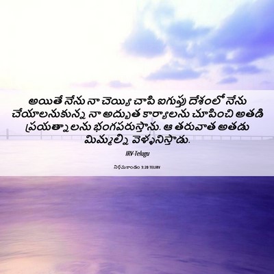 Picture 06 - నిర్గమకాండం 3:20 TELIRV - అయితే నేను నా - Bible Verse Picture