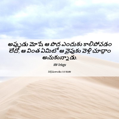 Picture 06 - నిర్గమకాండం 3:3 TELIRV - అప్పుడు మోషే ఆ పొద - Bible Verse Picture