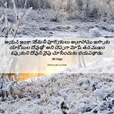 Picture 06 - నిర్గమకాండం 3:6 TELIRV - ఆయన ఇంకా “నేను నీ - Bible Verse Picture