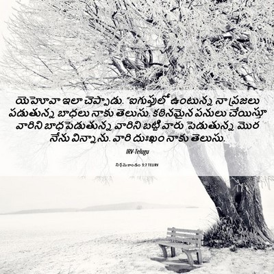 Picture 06 - నిర్గమకాండం 3:7 TELIRV - యెహోవా ఇలా - Bible Verse Picture