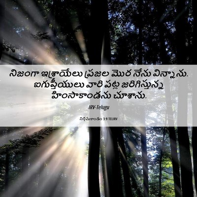 Picture 06 - నిర్గమకాండం 3:9 TELIRV - నిజంగా ఇశ్రాయేలు - Bible Verse Picture