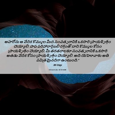 Picture 06 - నిర్గమకాండం 30:10 TELIRV - అహరోను ఆ వేదిక - Bible Verse Picture