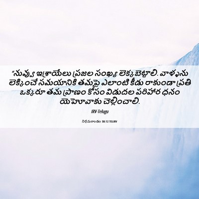 Picture 06 - నిర్గమకాండం 30:12 TELIRV - “నువ్వు ఇశ్రాయేలు - Bible Verse Picture