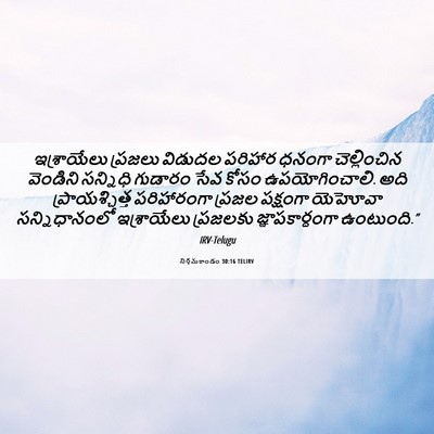 Picture 06 - నిర్గమకాండం 30:16 TELIRV - ఇశ్రాయేలు ప్రజలు - Bible Verse Picture