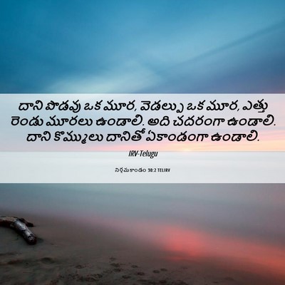 Picture 06 - నిర్గమకాండం 30:2 TELIRV - దాని పొడవు ఒక మూర, - Bible Verse Picture
