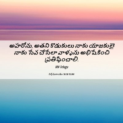 Picture 06 - నిర్గమకాండం 30:30 TELIRV - అహరోను, అతని - Bible Verse Picture