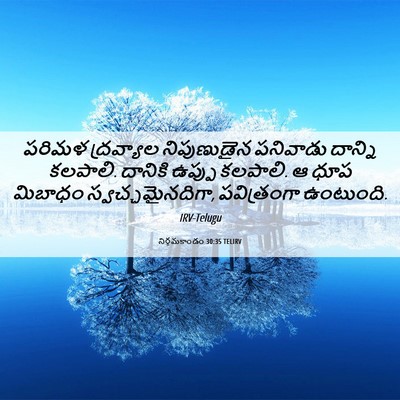 Picture 06 - నిర్గమకాండం 30:35 TELIRV - పరిమళ ద్రవ్యాల - Bible Verse Picture