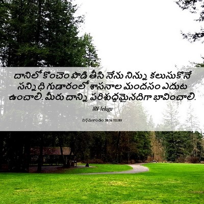 Picture 06 - నిర్గమకాండం 30:36 TELIRV - దానిలో కొంచెం - Bible Verse Picture