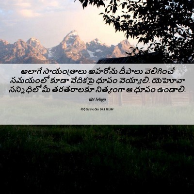 Picture 06 - నిర్గమకాండం 30:8 TELIRV - అలాగే సాయంత్రాలు - Bible Verse Picture