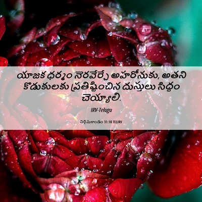 Picture 06 - నిర్గమకాండం 31:10 TELIRV - యాజక ధర్మం - Bible Verse Picture