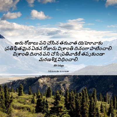 Picture 06 - నిర్గమకాండం 31:15 TELIRV - ఆరు రోజులు పని - Bible Verse Picture