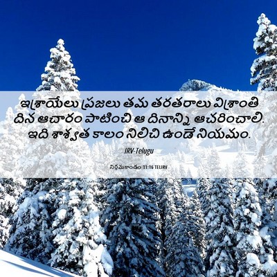 Picture 06 - నిర్గమకాండం 31:16 TELIRV - ఇశ్రాయేలు ప్రజలు - Bible Verse Picture