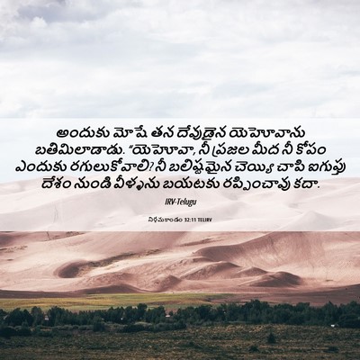 Picture 06 - నిర్గమకాండం 32:11 TELIRV - అందుకు మోషే తన - Bible Verse Picture