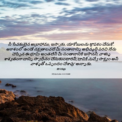 Picture 06 - నిర్గమకాండం 32:13 TELIRV - నీ సేవకులైన - Bible Verse Picture