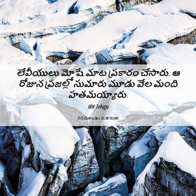 Picture 06 - నిర్గమకాండం 32:28 TELIRV - లేవీయులు మోషే మాట - Bible Verse Picture