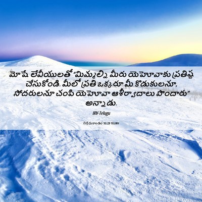 Picture 06 - నిర్గమకాండం 32:29 TELIRV - మోషే లేవీయులతో - Bible Verse Picture