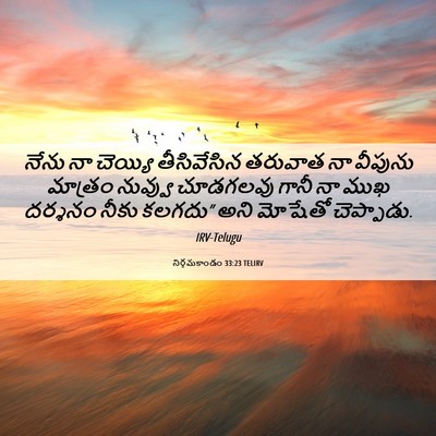Picture 06 - నిర్గమకాండం 33:23 TELIRV - నేను నా చెయ్యి - Bible Verse Picture
