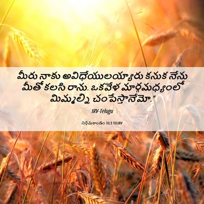 Picture 06 - నిర్గమకాండం 33:3 TELIRV - మీరు నాకు - Bible Verse Picture