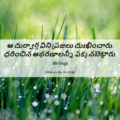 Picture 06 - నిర్గమకాండం 33:4 TELIRV - ఆ దుర్వార్త విని - Bible Verse Picture