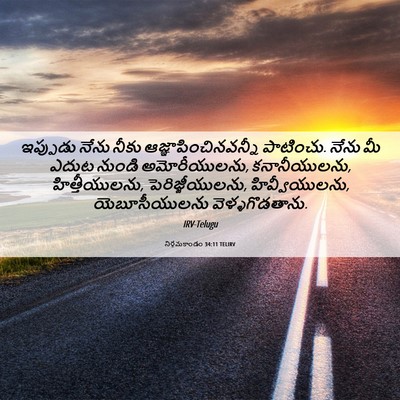Picture 06 - నిర్గమకాండం 34:11 TELIRV - ఇప్పుడు నేను నీకు - Bible Verse Picture